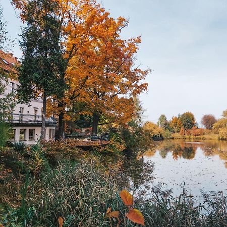 Palac Czarny Las Wożniki Esterno foto